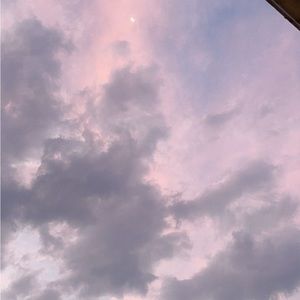 Meet your Posher, Maddy